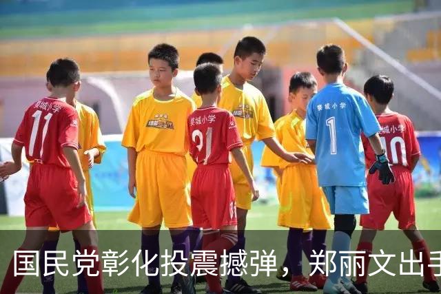 国民党彰化投震撼弹，郑丽文出手，助力魏平政，王惠美尴尬了