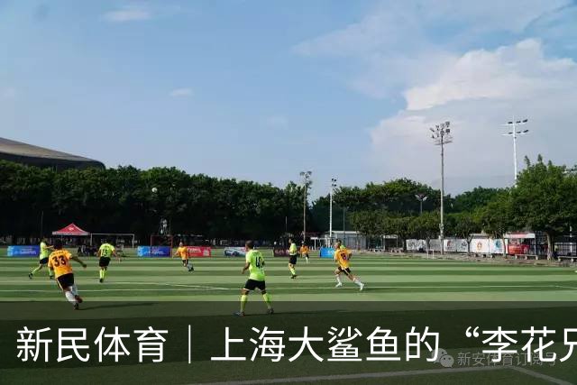 新民体育｜上海大鲨鱼的“李花兄弟”回来了！