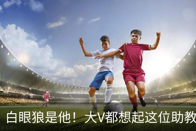 白眼狼是他！大V都想起这位助教 把鲁能告上法庭