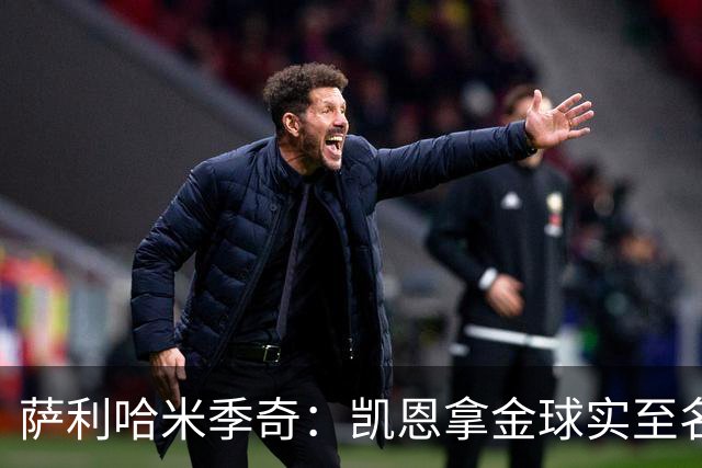萨利哈米季奇：凯恩拿金球实至名归，盼他带欧冠回慕尼黑