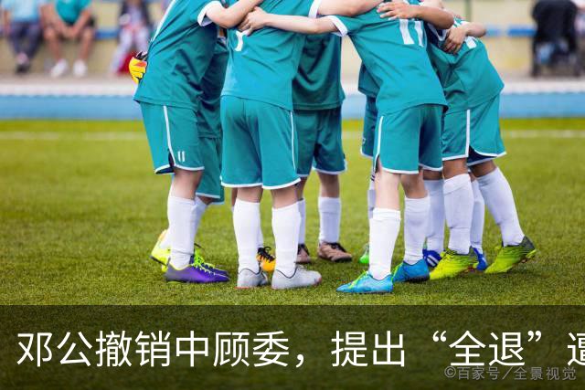 邓公撤销中顾委，提出“全退”遭多人反对，薄一波一句话说服大家！