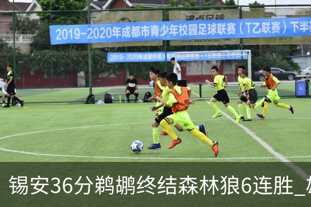 锡安36分鹈鹕终结森林狼6连胜 雄鹿险胜公牛